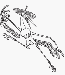 coloriage kung fu panda grue